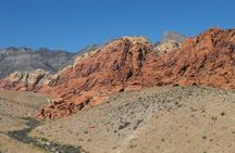 Guided Mountain Bike Tour of Mustang Trail in Red Rock Canyon