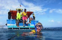 Cozumel Coral Reef Snorkeling by Glass Bottom Boat with Guide