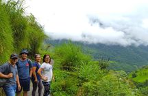 Cloud Forest and waterfalls private Day trip