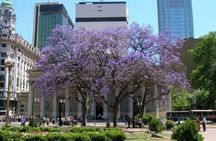 Private Buenos Aires City Tour from Cruise Terminal