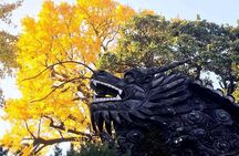 Old Shanghai City Walking Tour