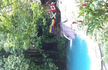 Dunn's River Falls and Jamaica Sightseeing Private Tour