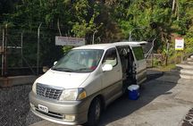 City Tour with Botanical Gardens, Trafalgar Falls & Morne Bruce 
