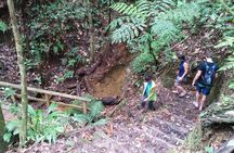 Middleham Falls and Ti'tou Gorge Half-Day Excursion