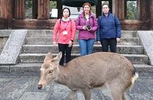 Nara Todaiji Lazy Bird Walking Tour