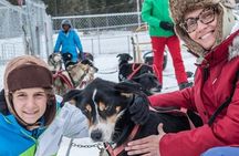 Dog Sledding - Subarctic Wilderness Tour