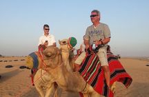 Dubai Desert Morning Tour in 4WD Vehicle: Camel Ride, Quad Bike Tour, Sandboarding, and Camel Farm