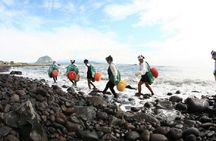 Full Day Jeju Private Customizable highlight Tour 