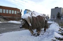 Yellowknife City Tour