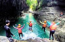Oslob Whale Shark Swimming and Kawasan Falls Canyoneering