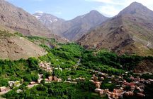 From Marrakech: Atlas Mountains Taoudja Summit Day Hike & Lunch