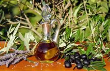 Olive oil and Navarre winery visit with tastings and lunch in small group tour