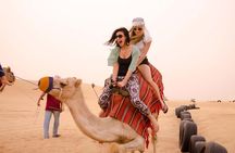 Camel Ride in Desert with Dune Bashing, BBQ Dinner and Belly Dance