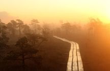 Sunrise Tour To Great Kemeri Bog