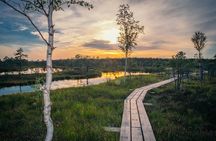Sunrise Tour To Great Kemeri Bog