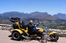 Cape Winelands Guided Trike Tour from Cape Town