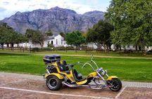 Cape Winelands Guided Trike Tour from Cape Town