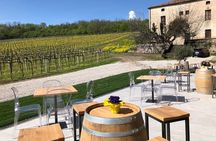 Euganean Hills Wine Tour
