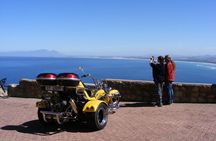 Hermanus and Whale Route Trike Tour from Cape Town