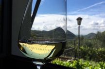 Euganean Hills Wine Tour