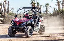 Marrakech: Buggy Tour in the Palmgroves