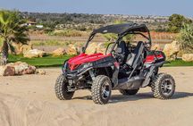 Marrakech: Buggy Tour in the Palmgroves