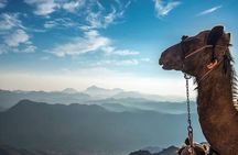 Mount Sinai Climb and Private St. Catherine Tour