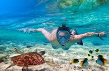 Punta Cana Combo Tour: Snorkeling, Catamaran Cruise & Parasailing