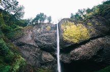 Portland Sightseeing Tour Including Columbia Gorge Waterfalls