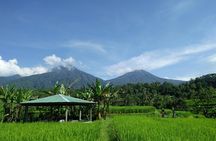 Electric bicycle tour in Jatiluwih UNESCO site