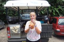  Franckyfranck Tours Moorea - Half day Tours 