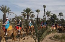 Camel Ride in the Palm Grove