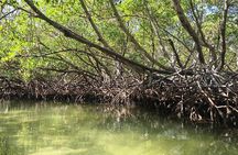 Cayo Arena, Paradise Island Tour