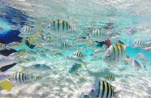 Cayo Arena, Paradise Island Tour