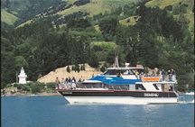 Akaroa Full Day Sightseeing Tour from Christchurch