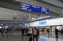 8-Hour Private Hong Kong Layover Tour