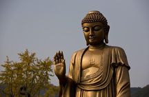 Wuxi Lingshan Buddhist Scenic Spot Private Tour from Shanghai by Bullet Train