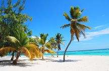 Saona Island Tour