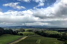 Willamette Valley Wine Tour from Portland 