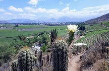 Portillo & Inca Lagoon Private Andes Experience + Chilean Wine