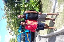 Day Trip to Dunn's River Falls from Montego Bay
