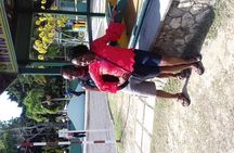 Day Trip to Dunn's River Falls from Montego Bay