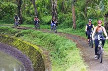 Electric bicycle tour in quaint South Ubud