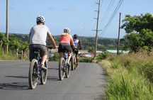 Punta Cana Mountain E-Bike Tour