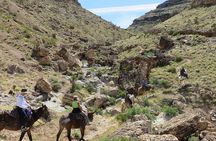 2-Hour Horseback Riding through Red Rock Canyon