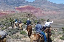 2-Hour Horseback Riding through Red Rock Canyon