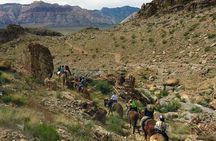 2-Hour Horseback Riding through Red Rock Canyon