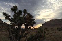 Red Rock Canyon Sunset Horseback Ride and Barbeque Dinner