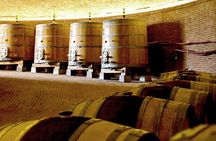 Small-Group Brunello di Montalcino Wine-Tasting Trip from Siena