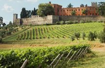 Small-Group Chianti Trip with Wine Tasting from Siena